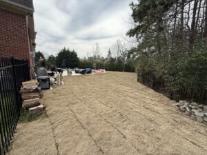 Freshly laid dormant sod in a large fenced backyard by the pool