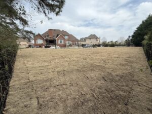 Freshly laid dormant sod in a large fenced backyard behind the house