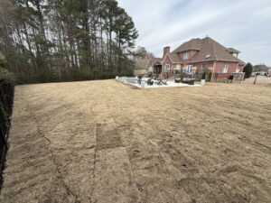 Freshly laid dormant sod in a large fenced backyard along the fence
