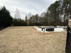 Freshly laid dormant sod in a large fenced backyard next to the patio