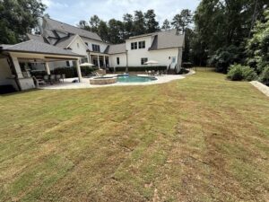 New sod in a backyard with a pool and a retaining wall