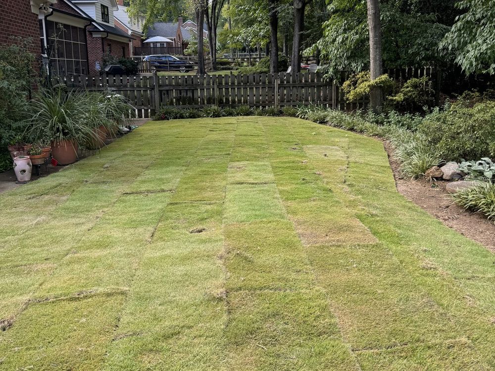 New sod laid in a backyard